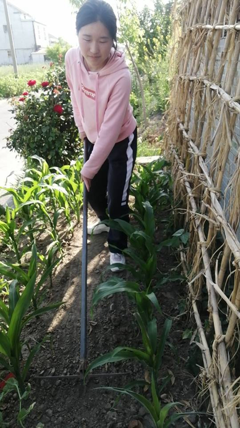 高二2-照片-2.jpg 高二2-照片-2.jpg