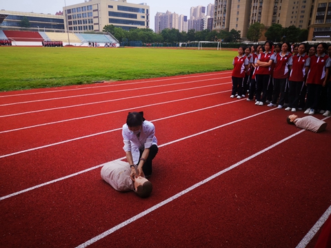 图片十二.jpg 图片十二.jpg