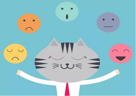 图片3.jpg 图片3.jpg